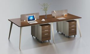 Paris Staff Workstation