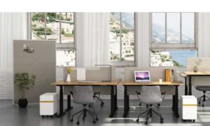 DOUBLE MOTOR HEIGHT ADJUSTABLE DESK
