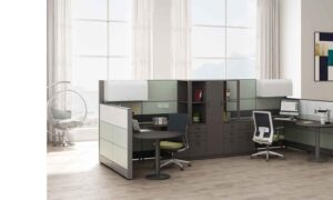 T10 PRIVATE CUBICLE WORKSTATION