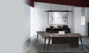 VL -MANAGER DESK STYLE 3